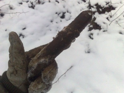 260120112874.jpg