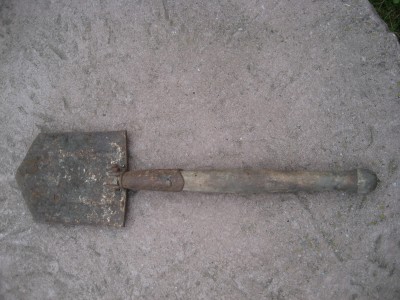 sapieris 001.JPG