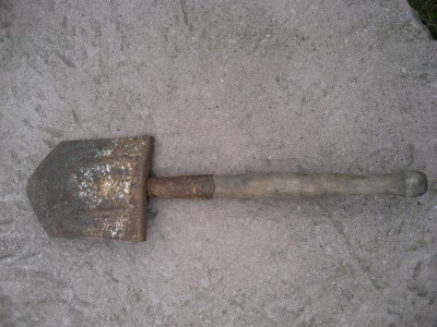 sapieris 002.JPG