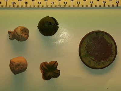 20181211_214731.jpg