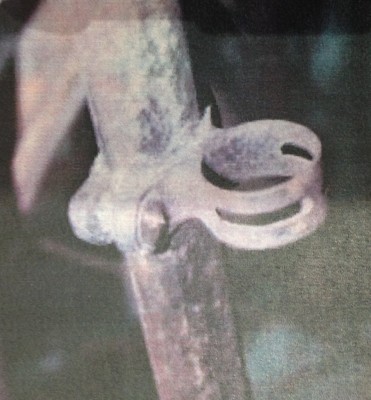 image.jpeg