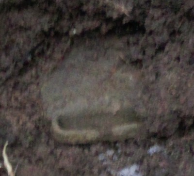 IMAG1894.jpg