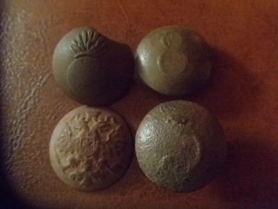 P1093414.JPG
