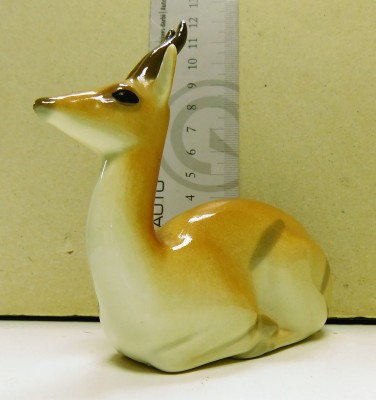DSCN3863.JPG