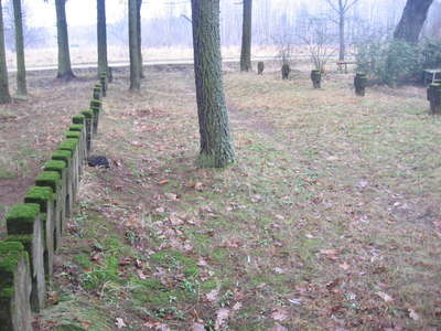 pictures 424.jpg