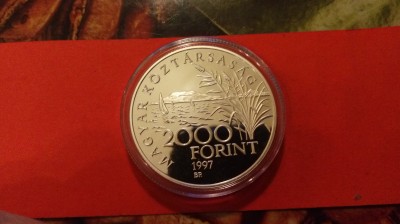 IMAG7599.jpg
