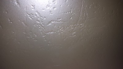 20190220_210952.jpg