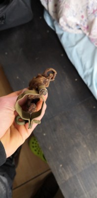 IMG-20190224-WA0004.jpeg