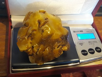 20190224_170623.jpg