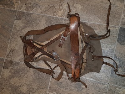 20190309_145731.jpg