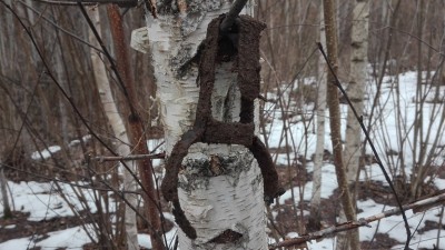 IMG_20190310_140850.jpg