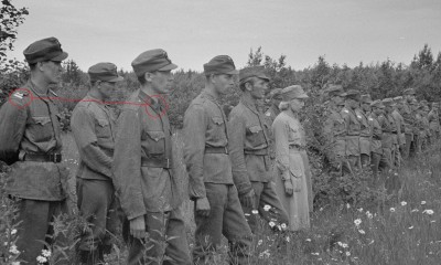 sakuva_lg_129955.jpg