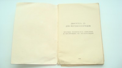 262.JPG