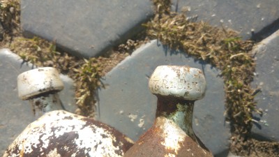 20190401_173544.jpg