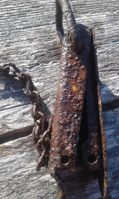 20190401_181802.jpg