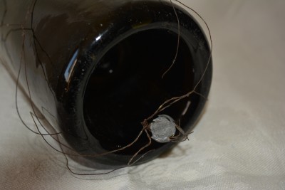 DSC_0398.JPG