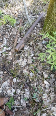 IMG-20190406-WA0018.jpg