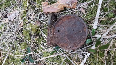 20190406_113930.jpg