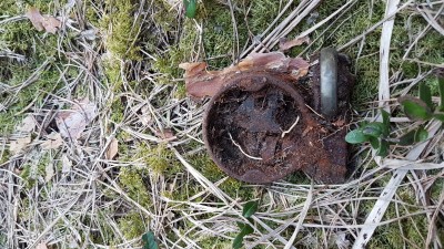 20190406_113935.jpg