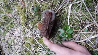 20190406_113943.jpg