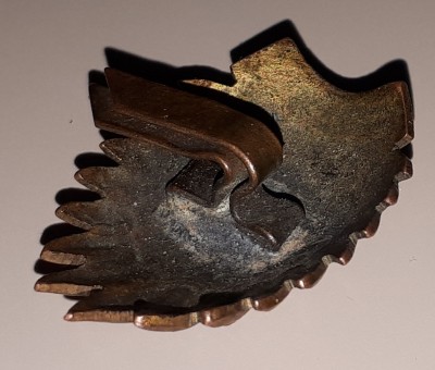 20190409_201223.jpg