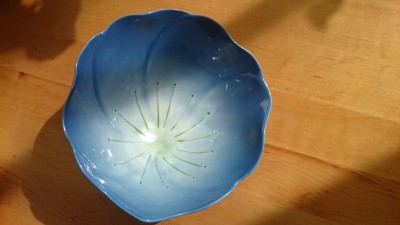 DSC_6043.JPG