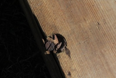 IMG_3979.JPG