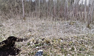 IMG_20190421_141908.jpg
