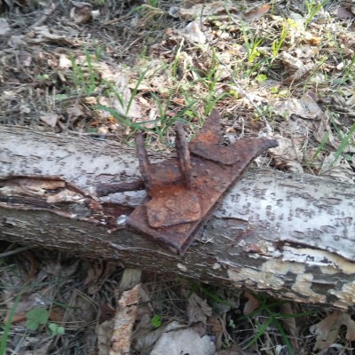20190423_164856.jpg