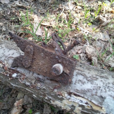 20190423_164910.jpg