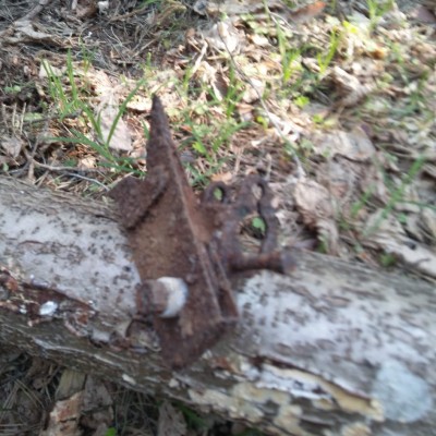 20190423_164915.jpg
