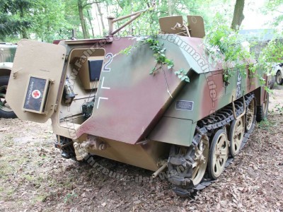 Spw_le_Cr_19-1.jpg