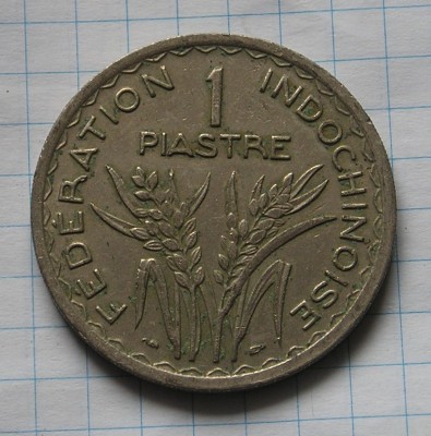 P1015336.JPG