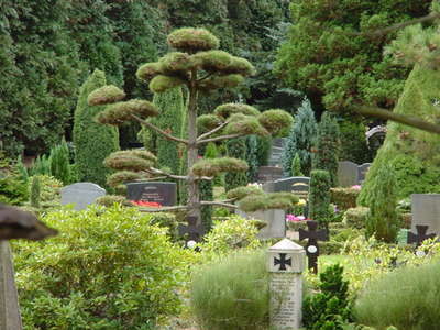 DSC00332.JPG