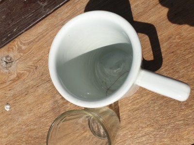 20190519_115113[1].jpg