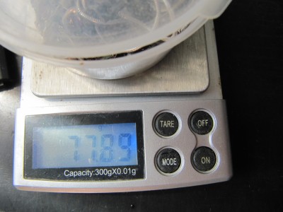 sfaafsd 154.JPG