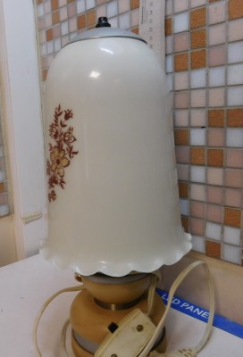 DSCN2533.JPG