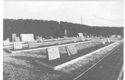 pampali 003.jpg