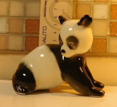 DSCN6221.JPG