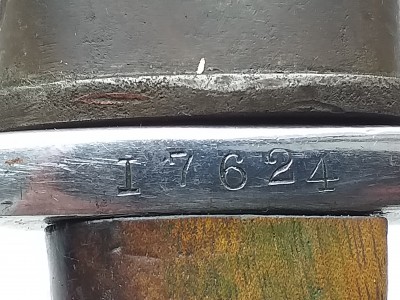 20190527_124507.jpg