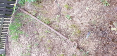 20190525_201336.jpg