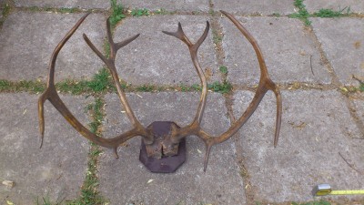 DSC_0261.jpg