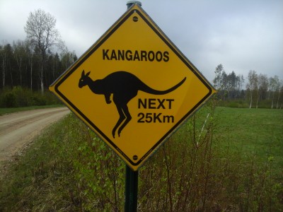 Fotoattēls0029.jpg