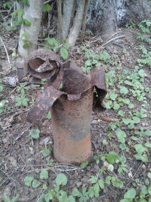 Fotoattēls0032.jpg