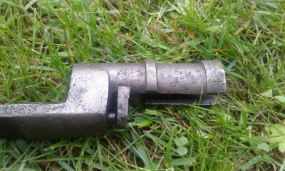 20190608_201458.jpg