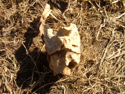Fotoattēls0233.jpg