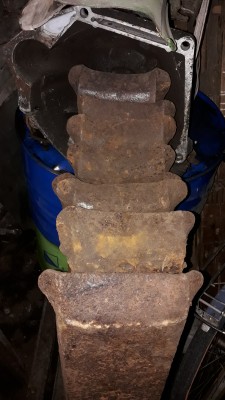 20190620_173112.jpg