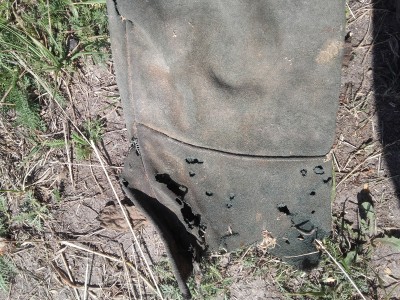 20190620_105220.jpg