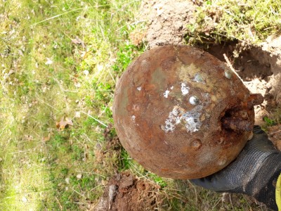 20190625_120955.jpg