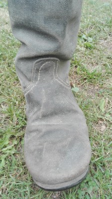 IMG_20190704_172018.jpg